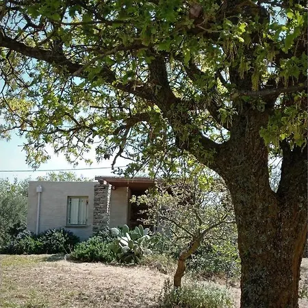 Holiday home Amidst Vines And Oak Trees